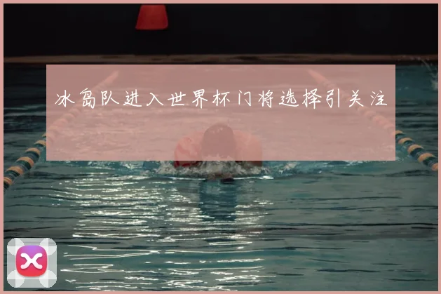 冰岛队进入世界杯门将选择引关注