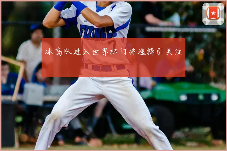 冰岛队进入世界杯门将选择引关注