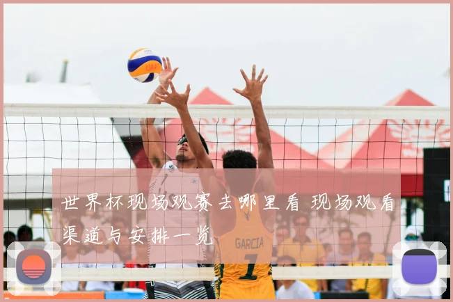 世界杯现场观赛去哪里看 现场观看渠道与安排一览