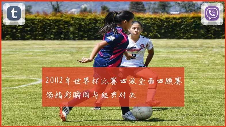 2002年世界杯比赛回放全面回顾赛场精彩瞬间与经典对决