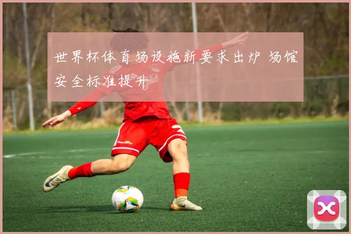 世界杯体育场设施新要求出炉 场馆安全标准提升