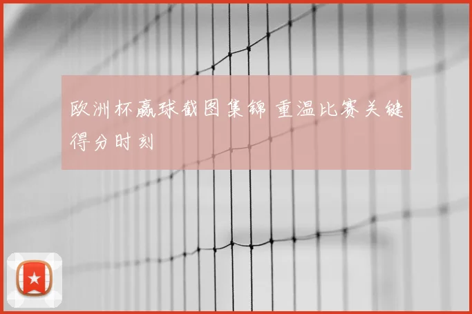 欧洲杯赢球截图集锦 重温比赛关键得分时刻