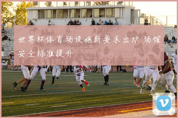 世界杯体育场设施新要求出炉 场馆安全标准提升