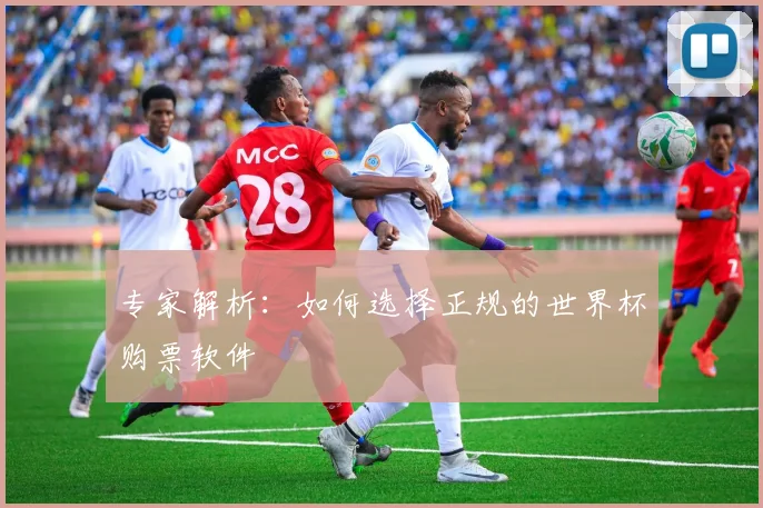 专家解析：如何选择正规的世界杯购票软件